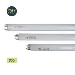 Lampada T8 18W/6500K 31131 EDM