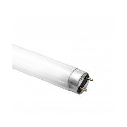 Lampada T8 18W/6500K 20045...