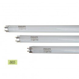 Lampada T8 58W/865 PHILIPS